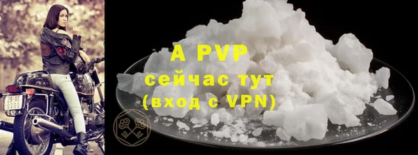 гашик Зеленокумск