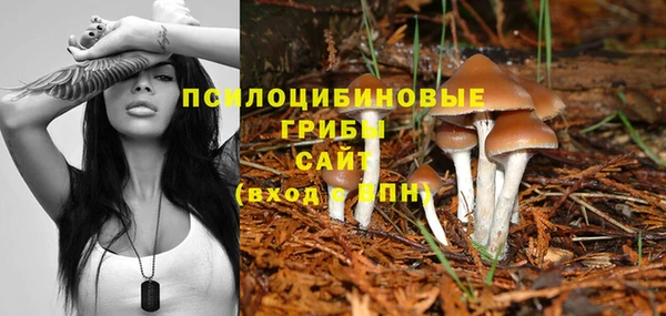 MDMA Зерноград