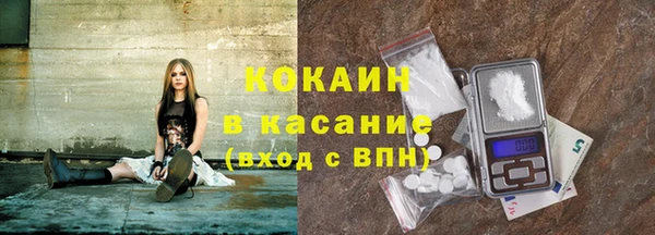 гашик Зеленокумск