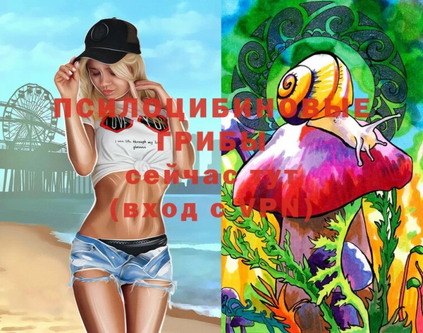 гашик Зеленокумск