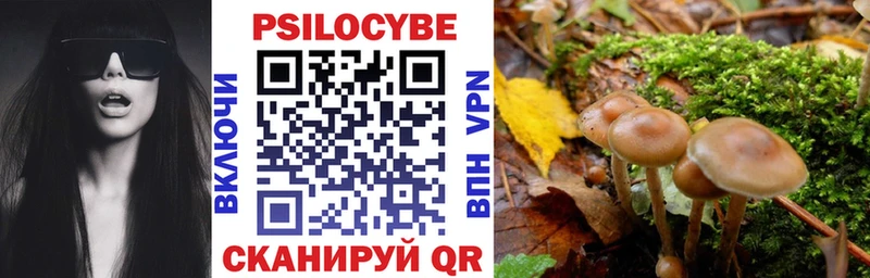Псилоцибиновые грибы мицелий  blacksprut онион  дарк нет телеграм  Тула 