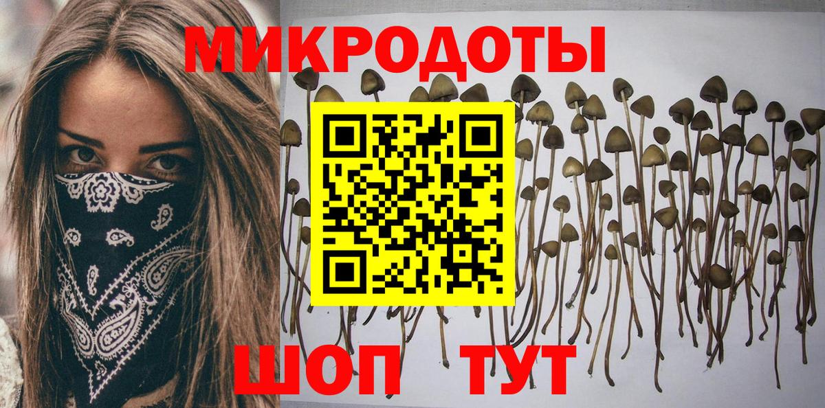 Тула  Галлюциногенные грибы Cubensis  цена   Вход с VPN  Галлюциногенные грибы Cubensis 